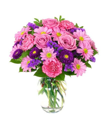 Nullam tincidunt vel